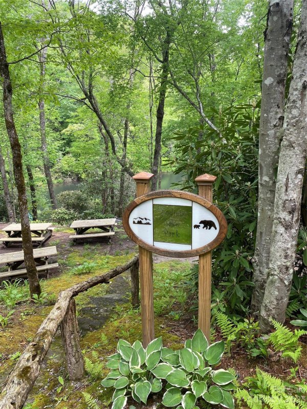 Property image 5 at 000 Tellico Lane, Lake Toxaway, NC 28747