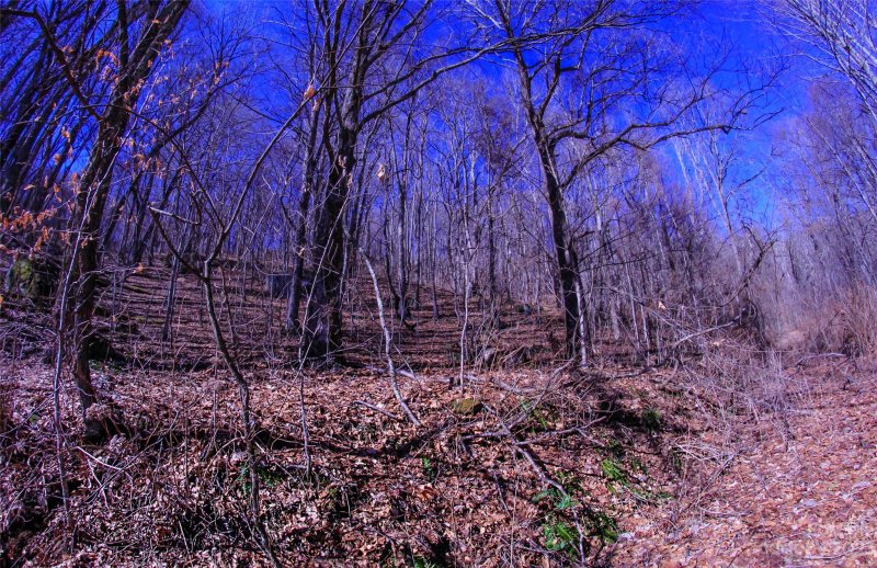 Property image 3 at 00 South Cove Road, Canton, NC 28716