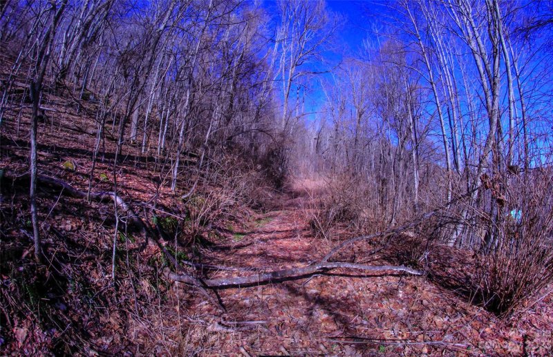 Property image 4 at 00 South Cove Road, Canton, NC 28716