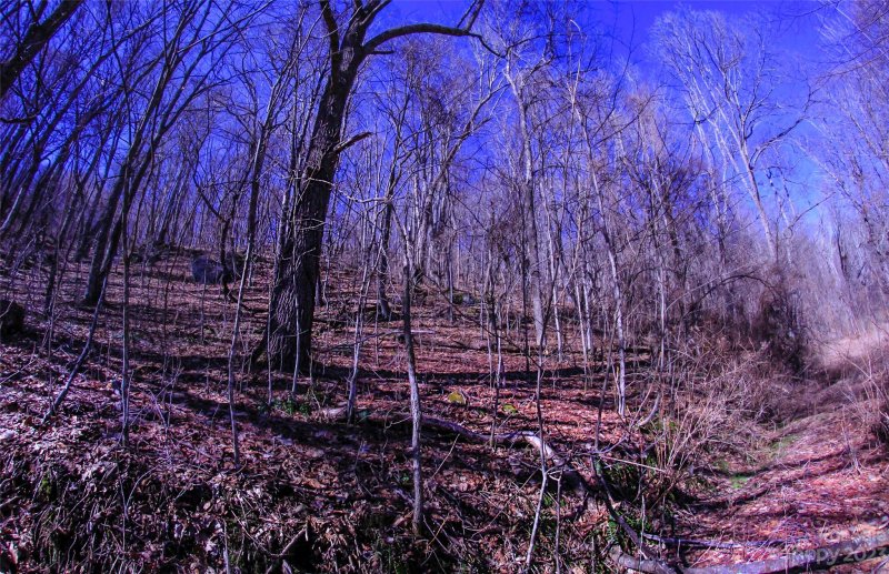 Property image 5 at 00 South Cove Road, Canton, NC 28716