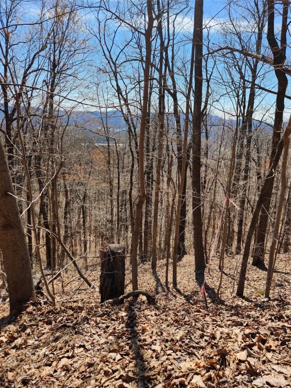 Property image 2 at 2917 Mountain Crest Drive, Marion, NC 28752