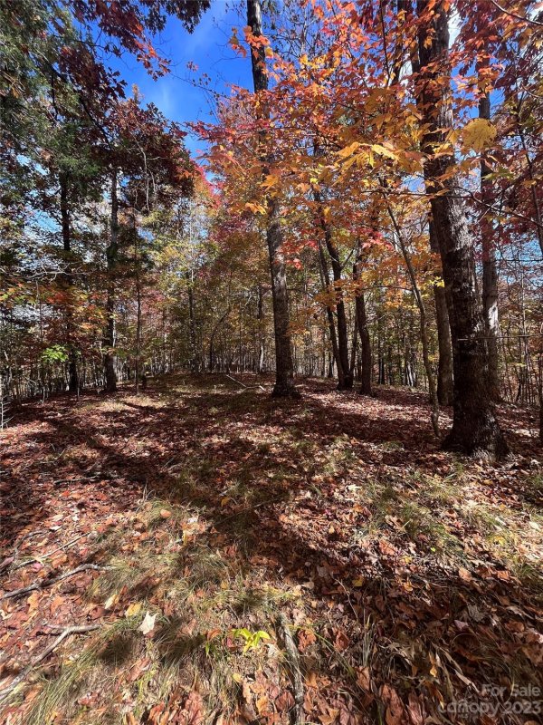 Property image 2 at 0 Valley Drive, Rutherfordton, NC 28139