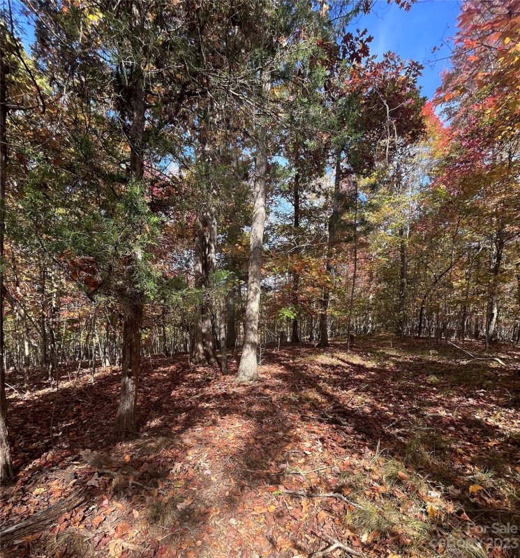 Property image 3 at 0 Valley Drive, Rutherfordton, NC 28139