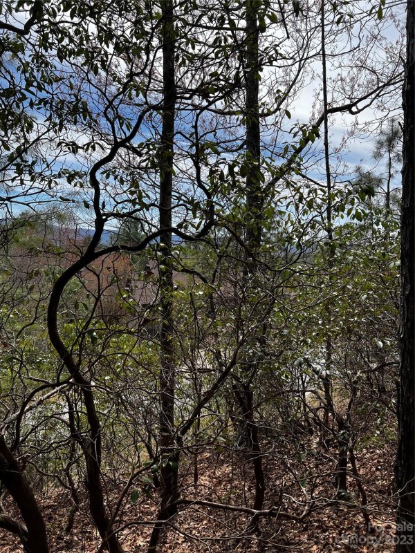 Property image 2 at Lot M35 Pine Mountain Road, Brevard, NC 28712