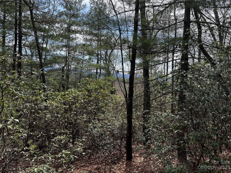 Property image 3 at Lot M35 Pine Mountain Road, Brevard, NC 28712