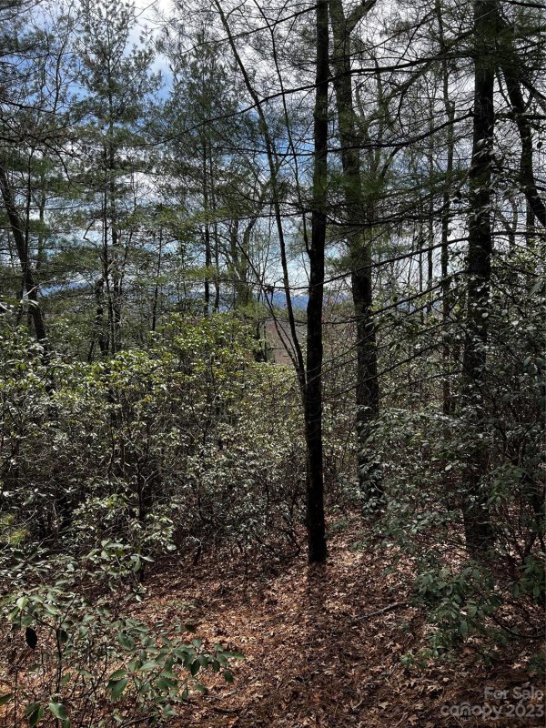 Property image 4 at Lot M35 Pine Mountain Road, Brevard, NC 28712