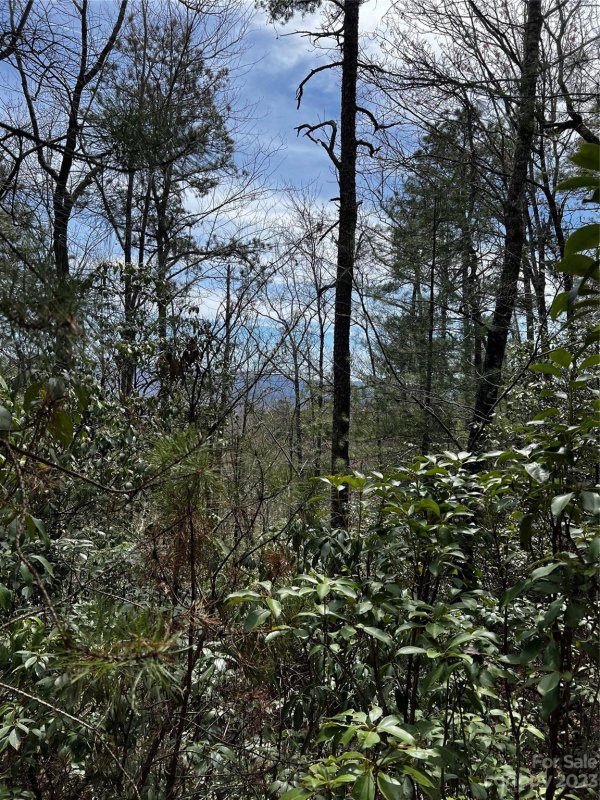 Property image 5 at Lot M35 Pine Mountain Road, Brevard, NC 28712