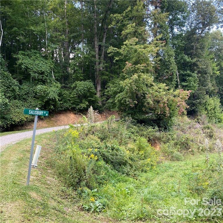 Property image 4 at 4 And 4b Salisbury Cove, Waynesville, NC 28785