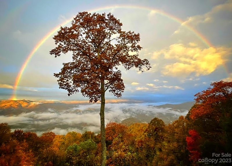 Property image 3 at 1999 Hyacinth Drive, Clyde, NC 28721