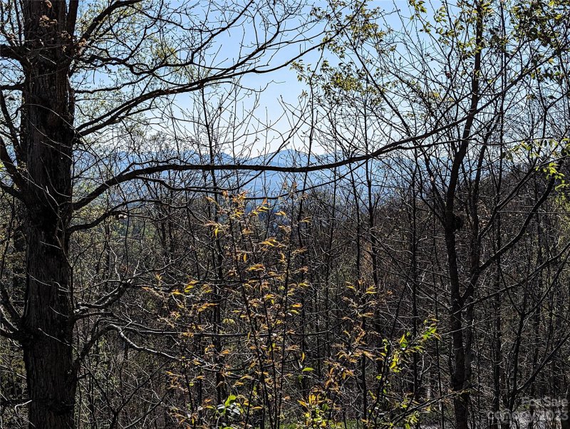 Property image 2 at 8 Waxwing Way, Asheville, NC 28804