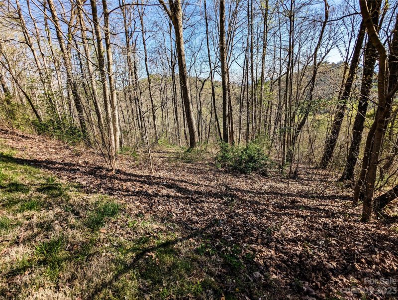 Property image 4 at 8 Waxwing Way, Asheville, NC 28804