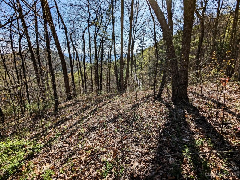 Property image 5 at 8 Waxwing Way, Asheville, NC 28804