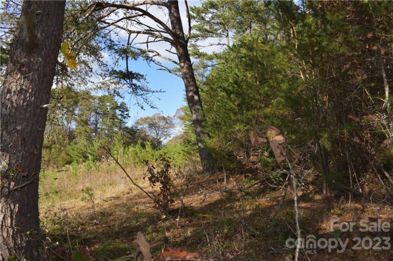 Property image 2 at Lot 3 4 Big Rocky Top Drive, Weaverville, NC 28787