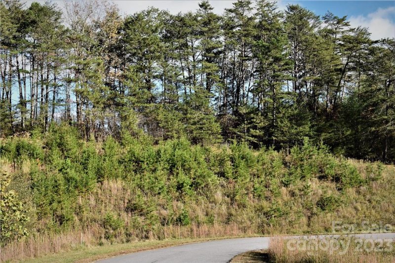 Property image 3 at Lot 3 4 Big Rocky Top Drive, Weaverville, NC 28787