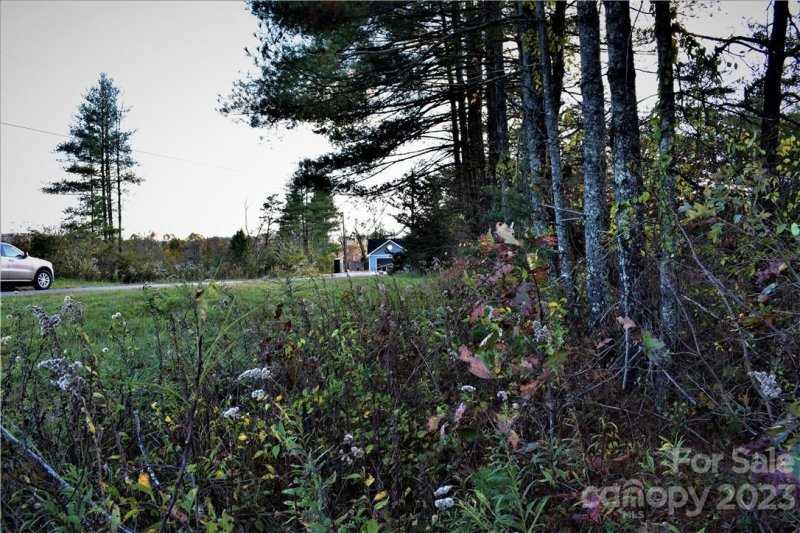 Property image 4 at Lot 15 16 South Pine Drive, Weaverville, NC 28787