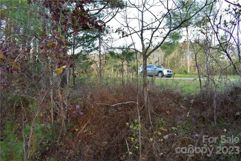 Property image 5 at Lot 15 16 South Pine Drive, Weaverville, NC 28787