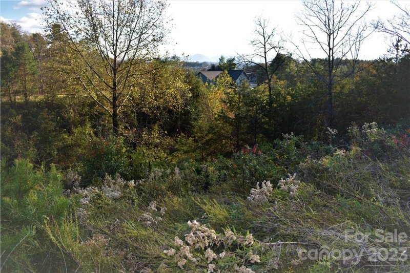 Property image 3 at Lot 11 Big Rocky Top Drive, Weaverville, NC 28787