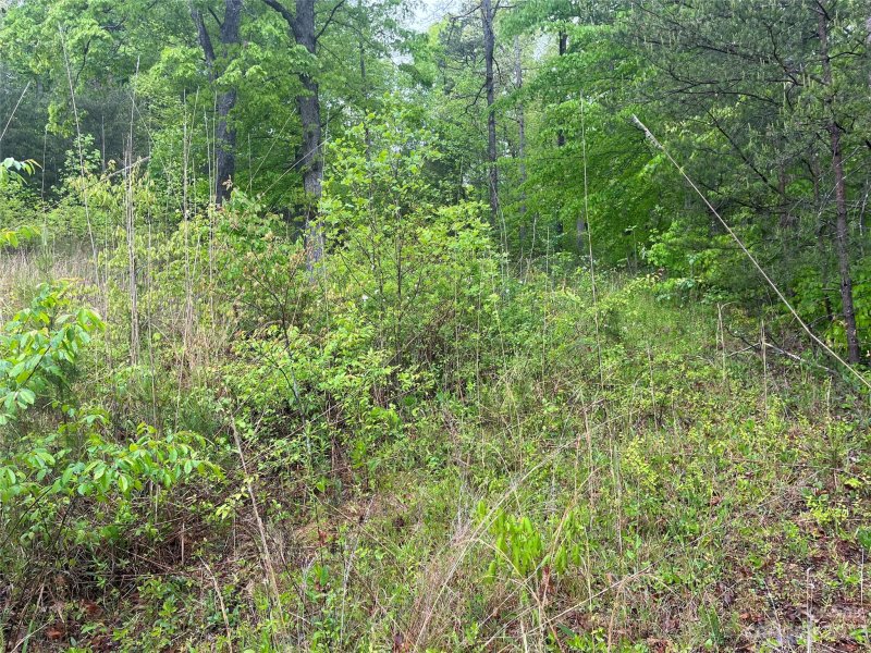 Property image 5 at 6e Lakeview Drive, Marion, NC 28752