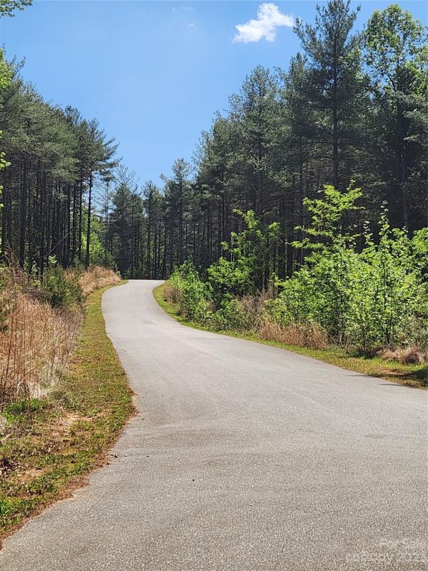 146 Frasier Fir Trail