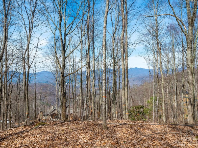 Property image 2 at 1016 Moss Creek Lane, Swannanoa, NC 28778