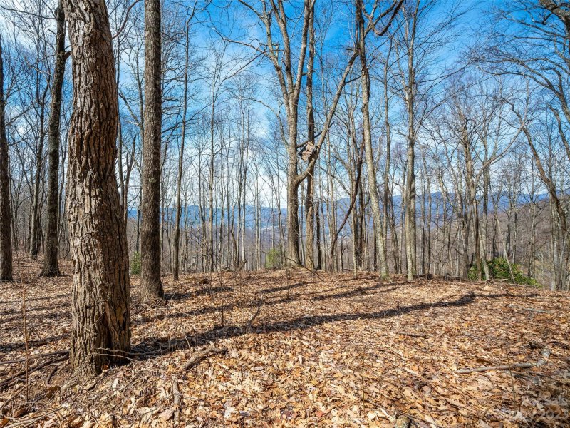 Property image 3 at 1016 Moss Creek Lane, Swannanoa, NC 28778