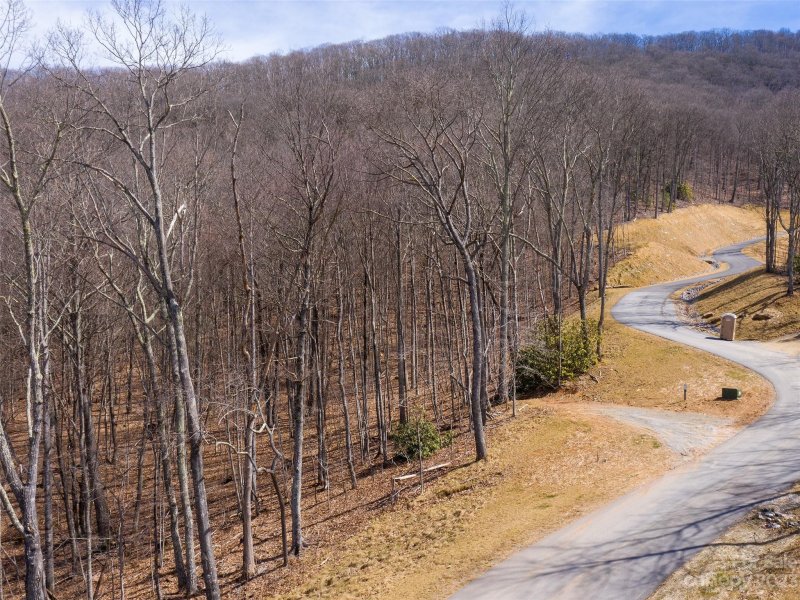 Property image 5 at 1016 Moss Creek Lane, Swannanoa, NC 28778