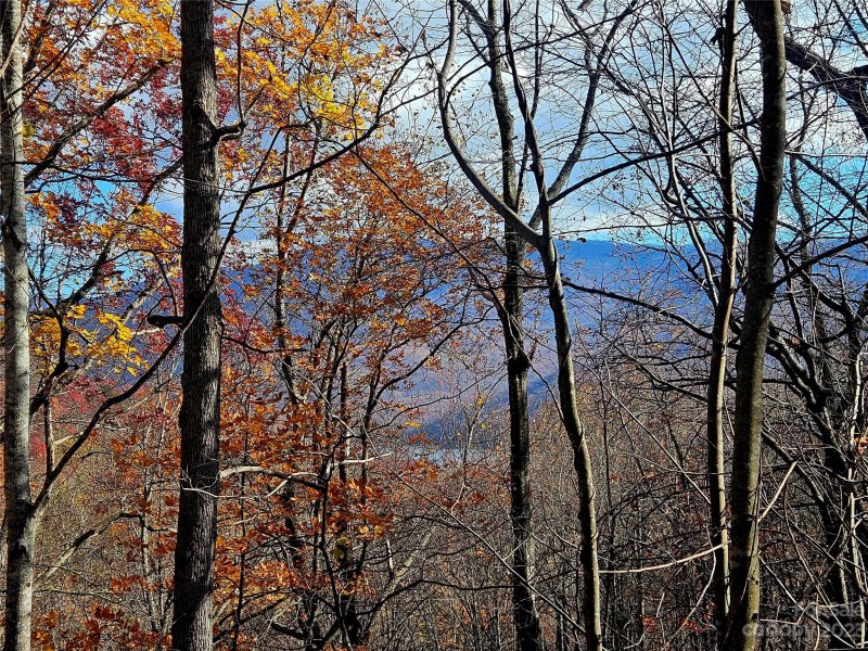 Property image 4 at 14 Great Aspen Way, Black Mountain, NC 28711