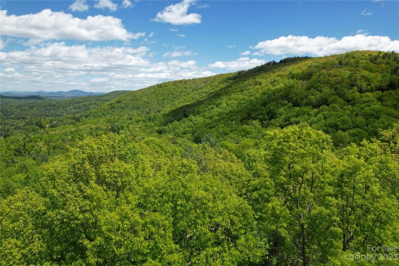 Property image 3 at 00 Foster Hill Drive, Hendersonville, NC 28739
