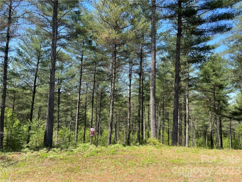 3051 Forest Ridge Road