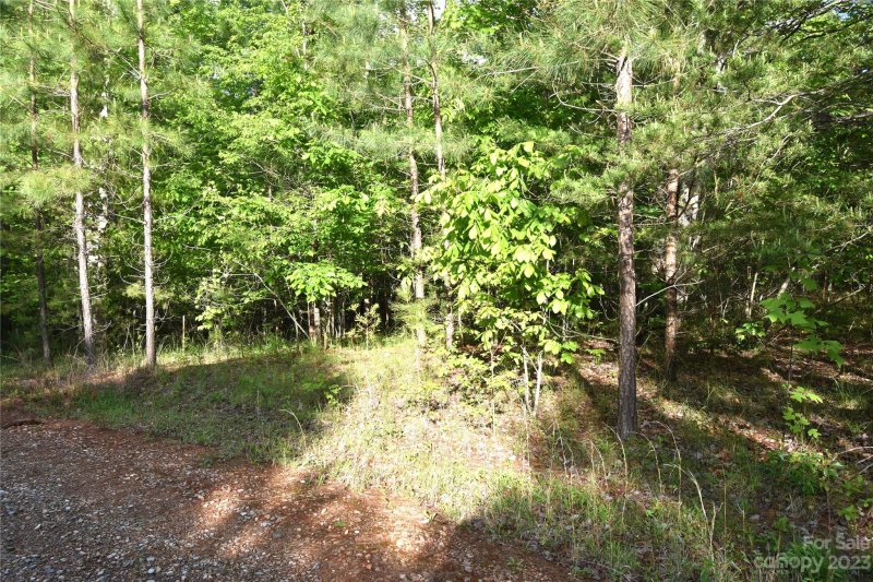 Property image 3 at Lot 92 Darrow Drive, Nebo, NC 28761
