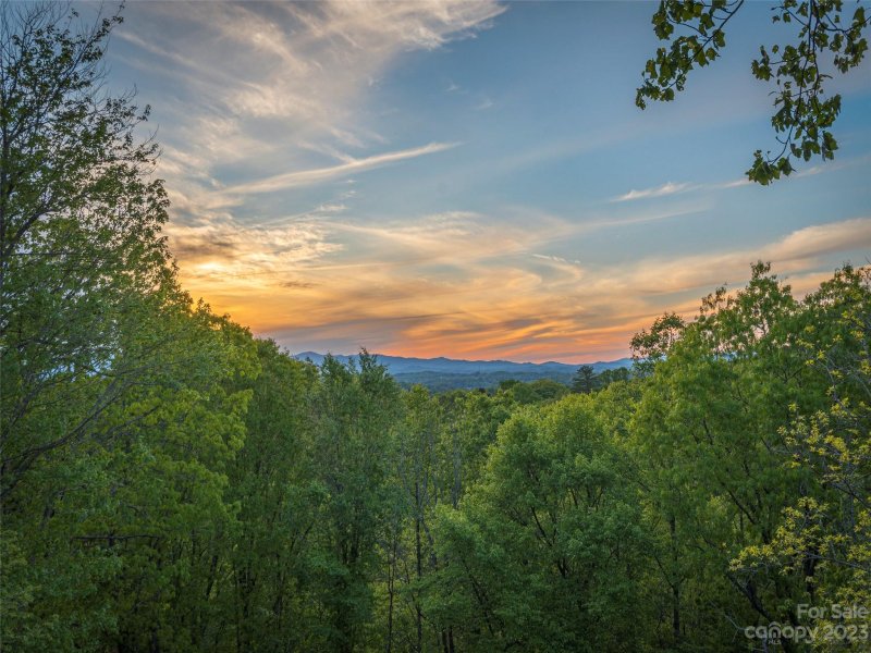 Property image 3 at 14 Herron View Lane, Weaverville, NC 28787