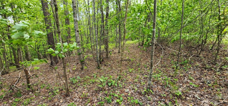 Property image 3 at Lot 23 S Cross Creek Trail, Mill Spring, NC 28756