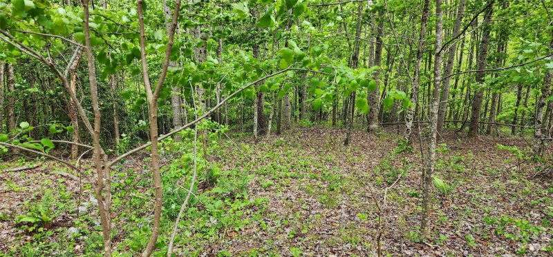 Property image 5 at Lot 23 S Cross Creek Trail, Mill Spring, NC 28756