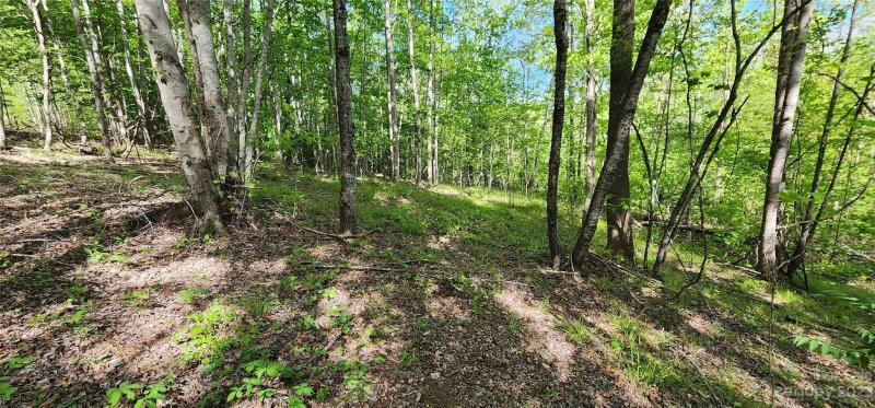 Lot 24 S Cross Creek Trail