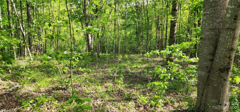 Property image 5 at Lot 24 S Cross Creek Trail, Mill Spring, NC 28756