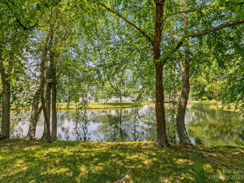 Property image 4 at 179 Kingfisher Lane, Mills River, NC 28759