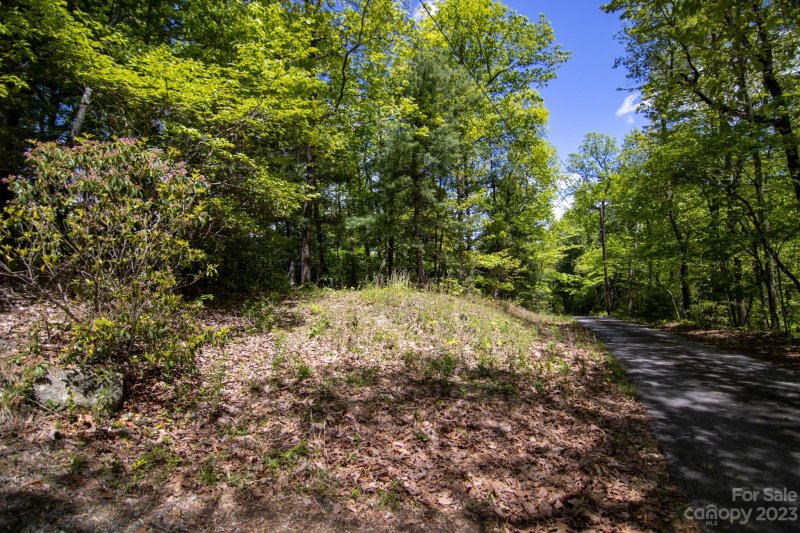 Property image 2 at 0 Foster Hill Drive, Hendersonville, NC 28739