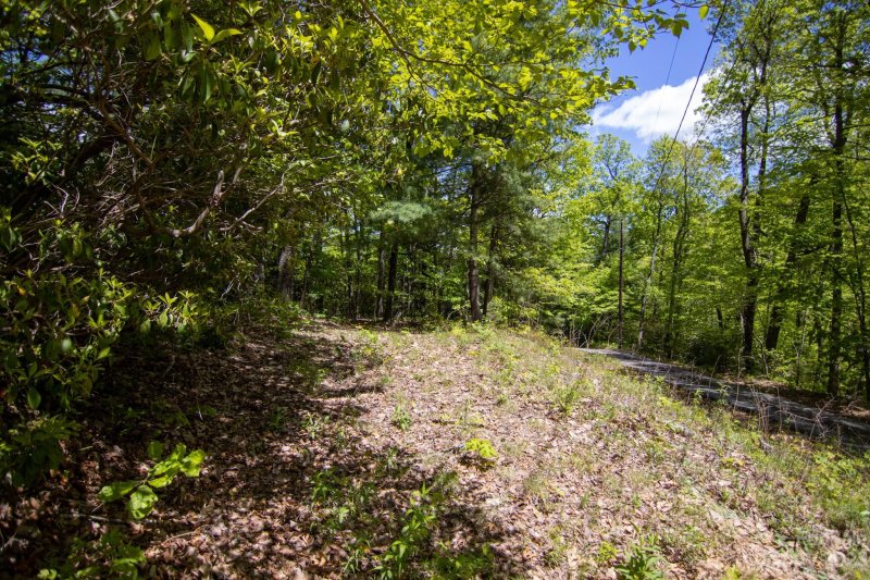 Property image 3 at 0 Foster Hill Drive, Hendersonville, NC 28739