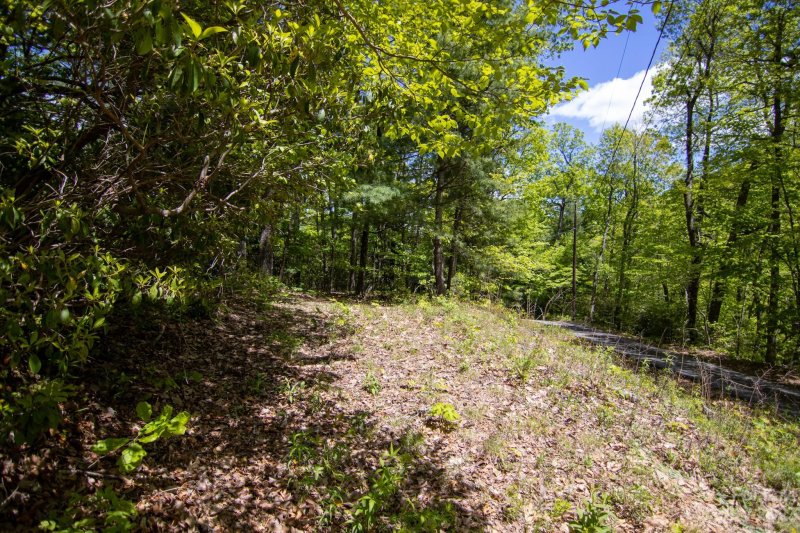 Property image 4 at 0 Foster Hill Drive, Hendersonville, NC 28739