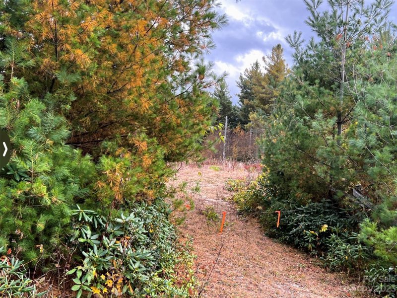 Property image 2 at 42 Ogle Meadows Road, Burnsville, NC 28714