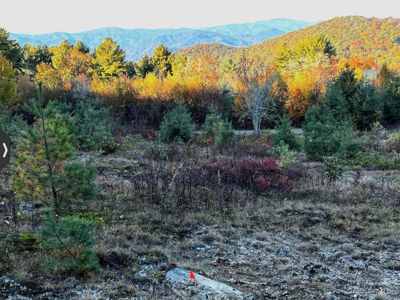 Property image 3 at 42 Ogle Meadows Road, Burnsville, NC 28714