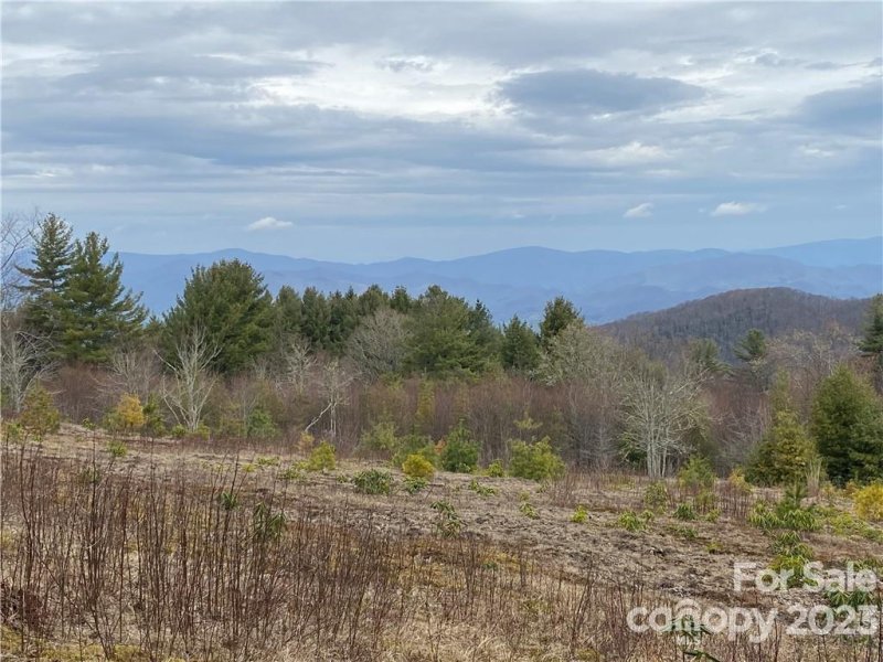 Property image 4 at 42 Ogle Meadows Road, Burnsville, NC 28714