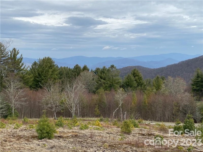 Property image 5 at 42 Ogle Meadows Road, Burnsville, NC 28714