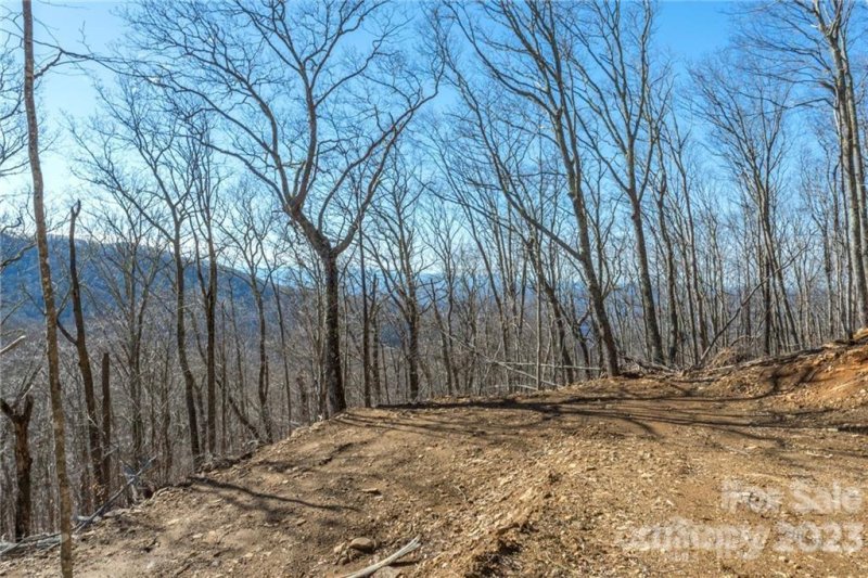 Property image 5 at 80 Ogle Meadows Road, Burnsville, NC 28714