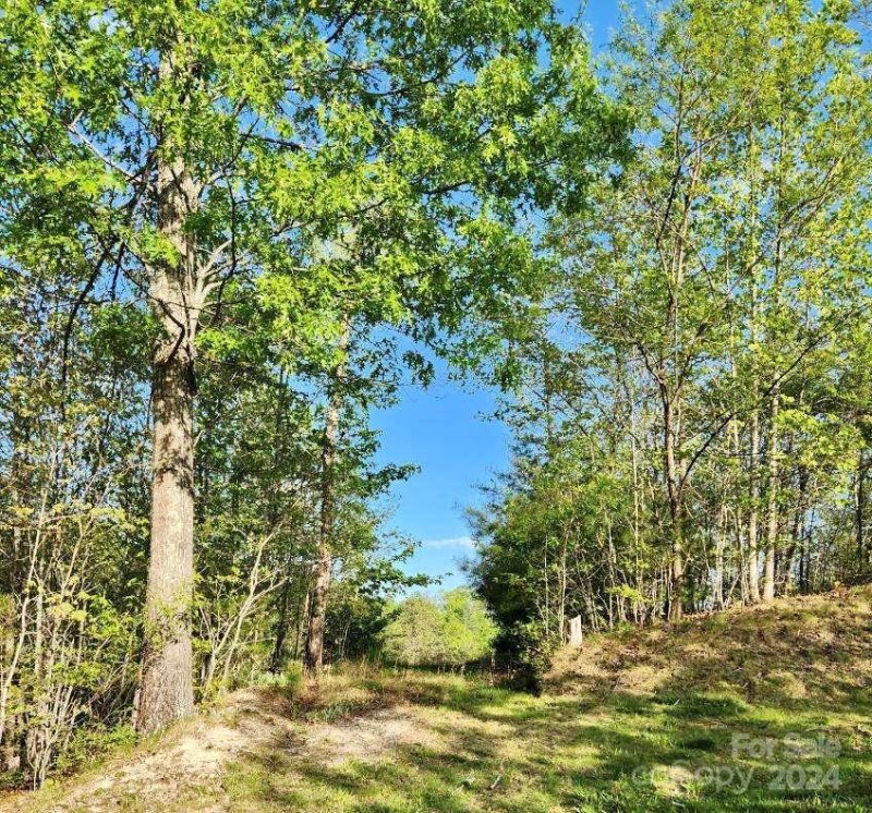 Property image 2 of 391 Red Fox Trail in French Broad Crossing, Marshall, NC 28753