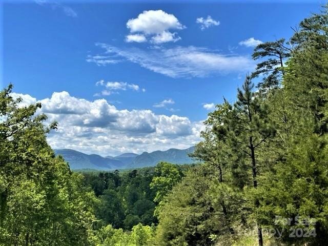 Property image 2 at 5 Bills Mountain Trail, Lake Lure, NC 28746