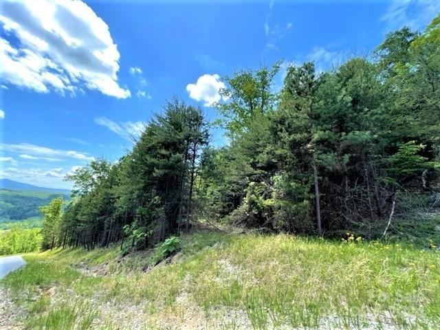 Property image 4 at 5 Bills Mountain Trail, Lake Lure, NC 28746