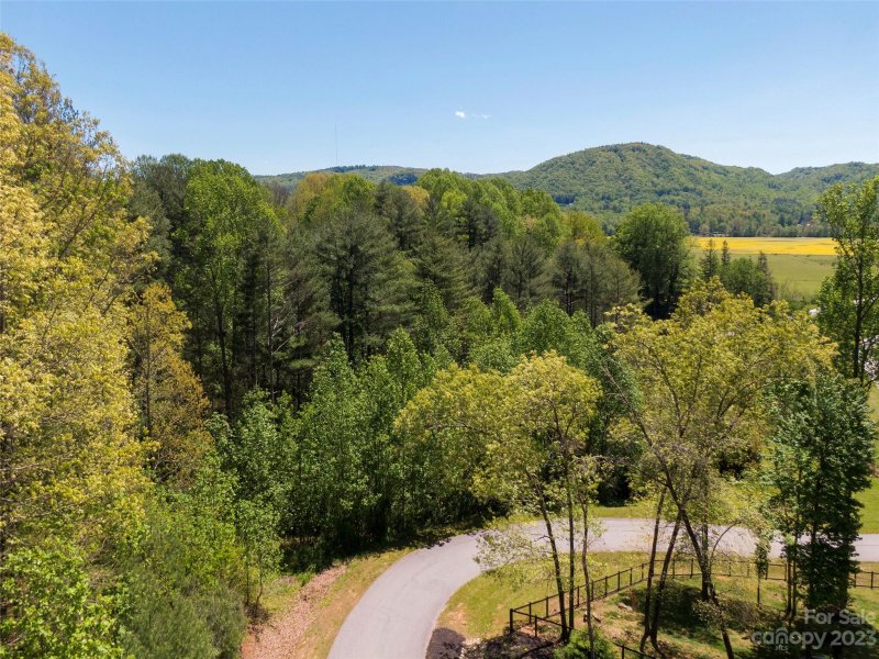 Property image 3 at 00 Oxford Court, Brevard, NC 28712