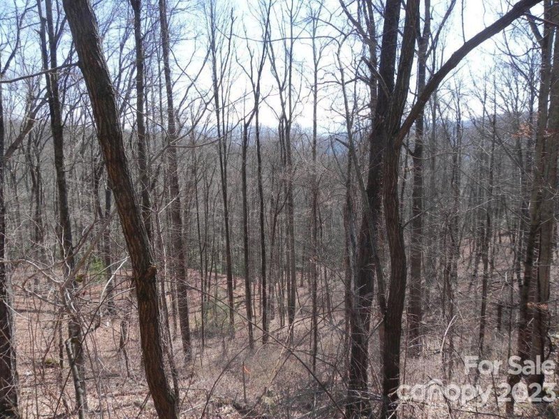 Property image 4 of 9999 Dj Drive in Butler Mountain Highlands, Fairview, NC 28730