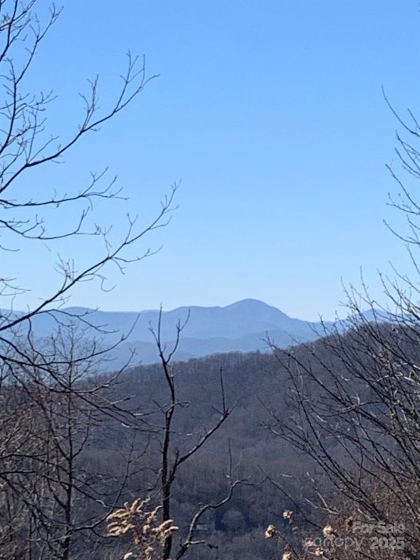 Butler Mountain Highlands, Fairview Community